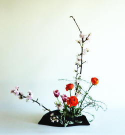 Ikebana Basic Style using Cherry Blossom and Spirea