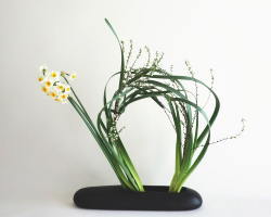 free style Ikebana pictures