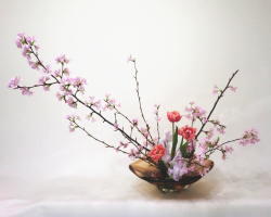 Cherry Blossom Ikebana image